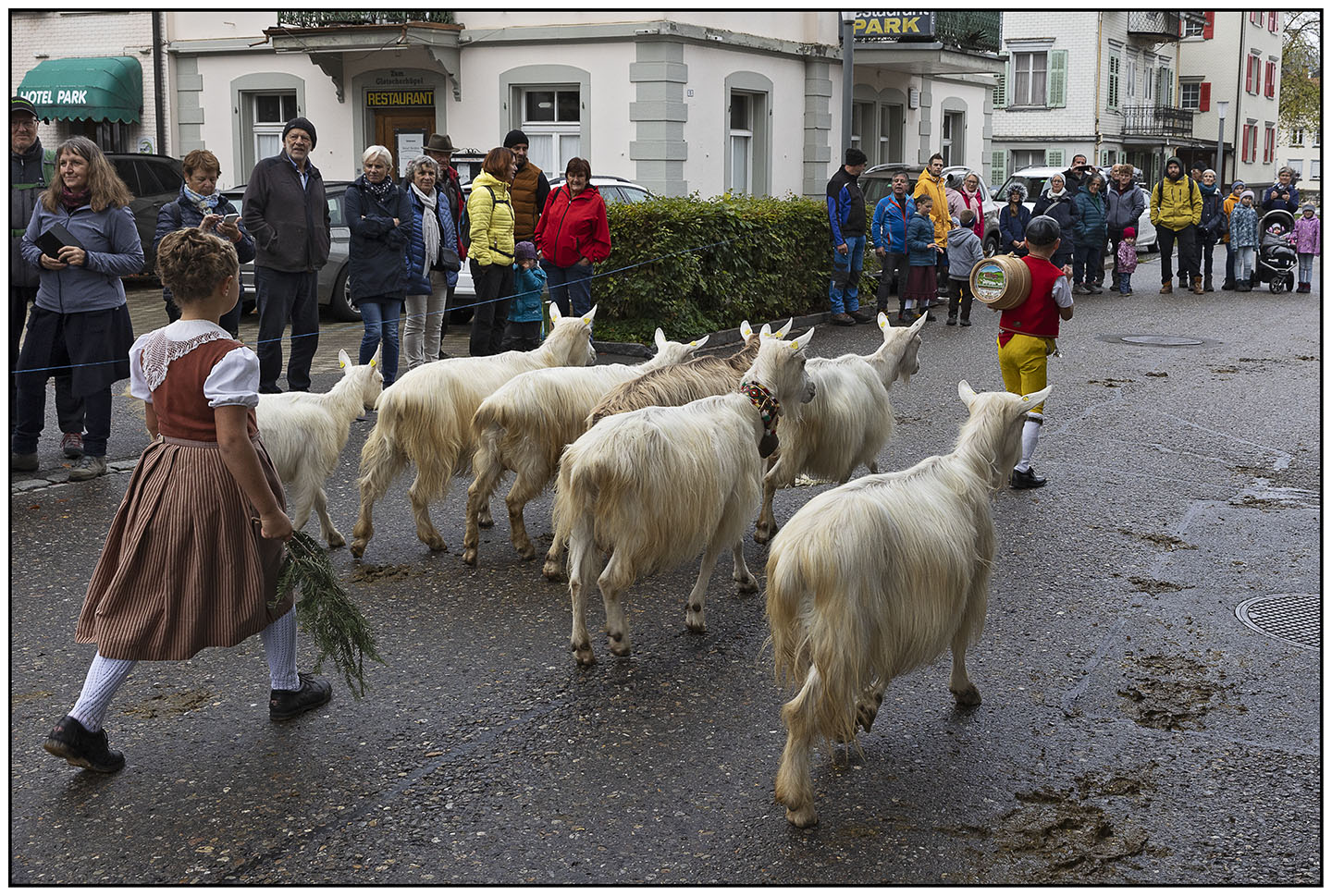 Viehschau Heiden